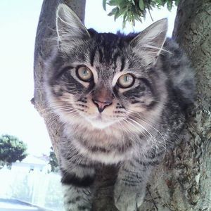 Meet your Posher, Jasmin